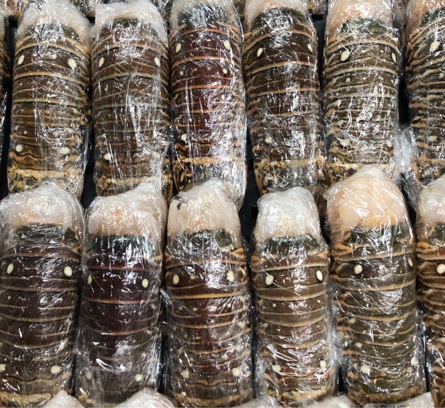 Spiny Lobster Tail   3pcs /Pack / ( 5 - 6oz each one)