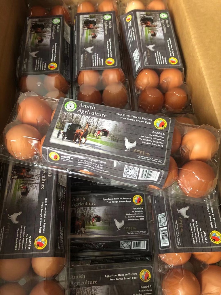Amish 农场散养走地土鸡蛋 （大号 Grade A） 12粒/盒