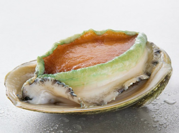Australia's Live Jade Tiger Abalone  Special !!! 6pcs / pack