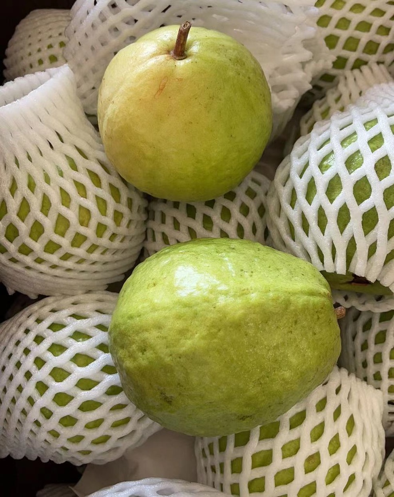 Guava (White Meat )3lbs/Pack