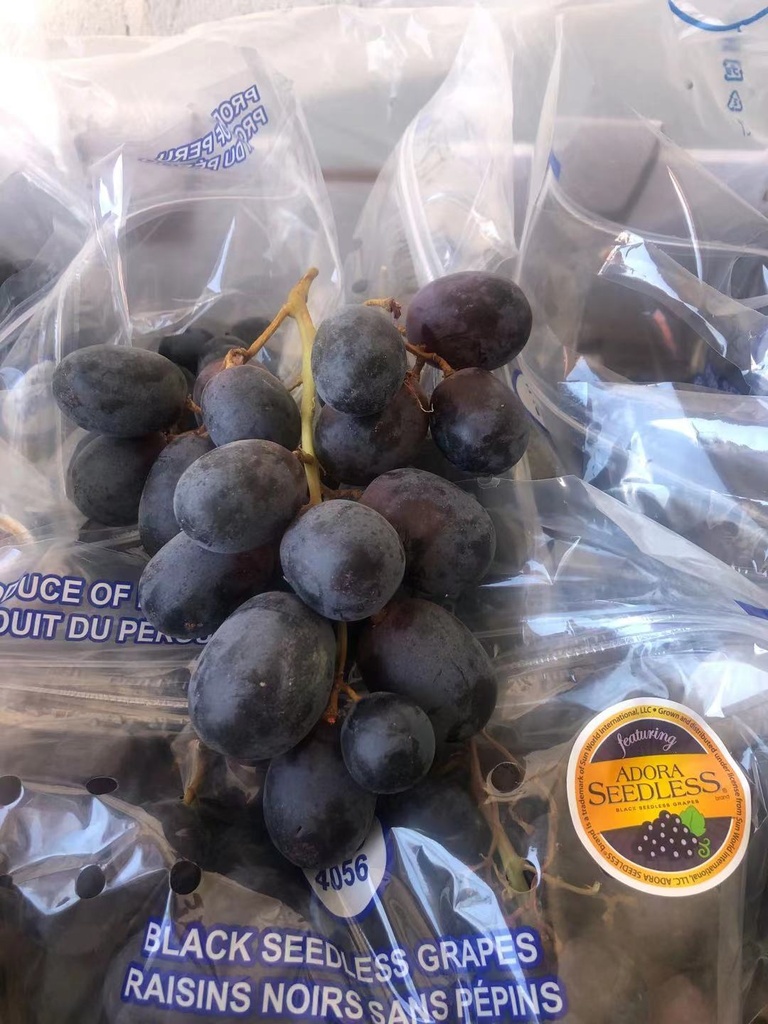 Fresh XL Black Seedless Grapes   16lbs/Cases