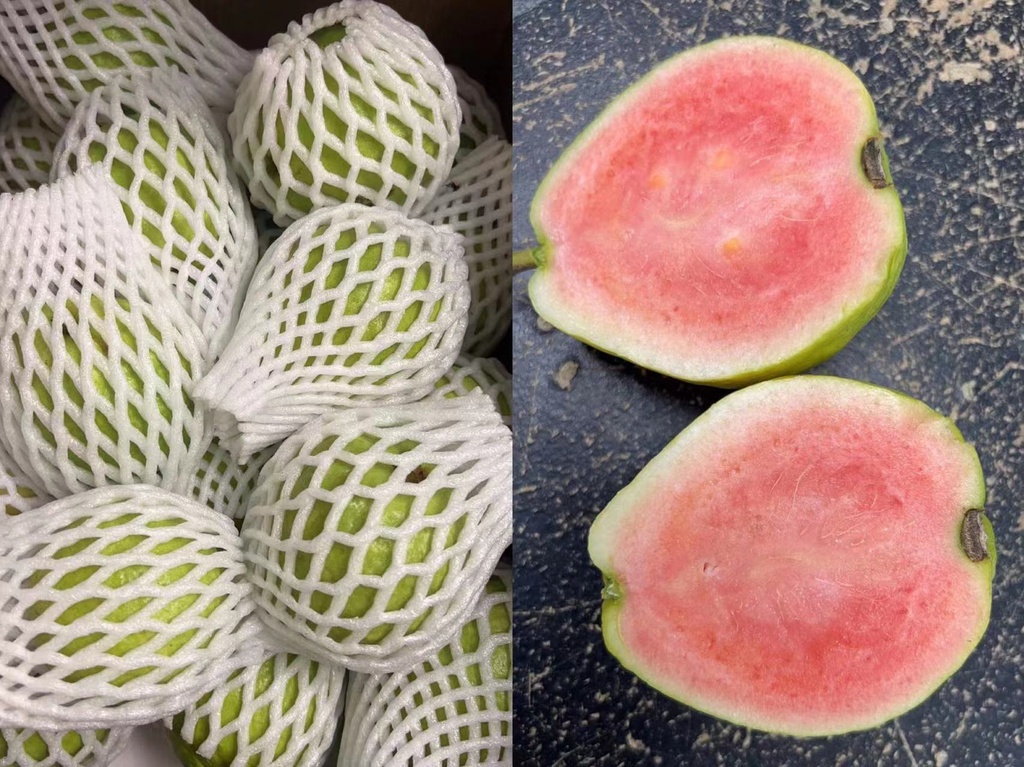 Fresh Guava 10 lbs/case