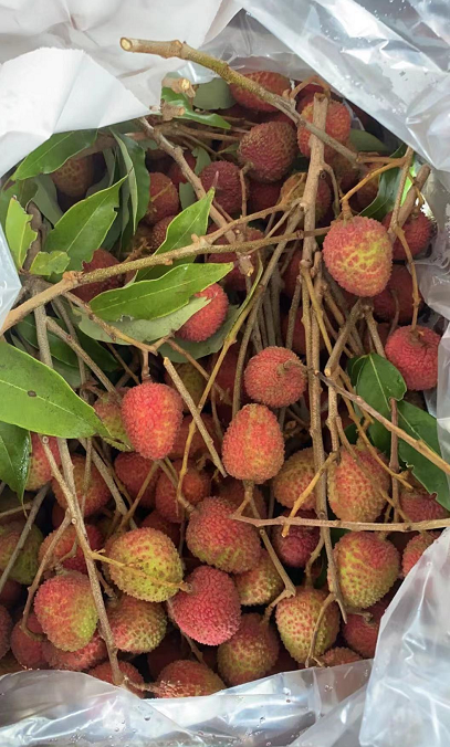 Fresh Lychee   Special Price !!!  3lbs/pack