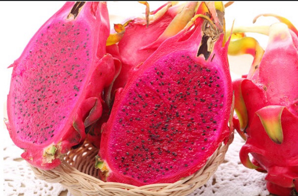Dragon Fruit/ Red  L Size 19-20lbs /  Cases