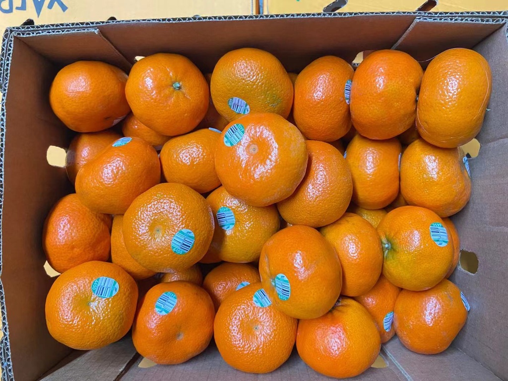Yafur Tangerine  3lbs / pack