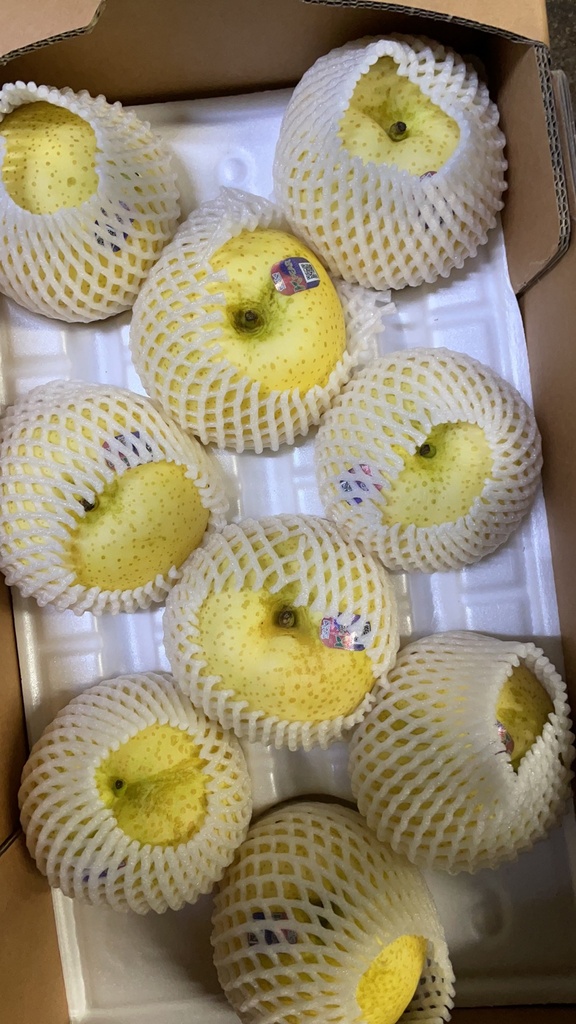 韩国产 黄金梨 / 每箱