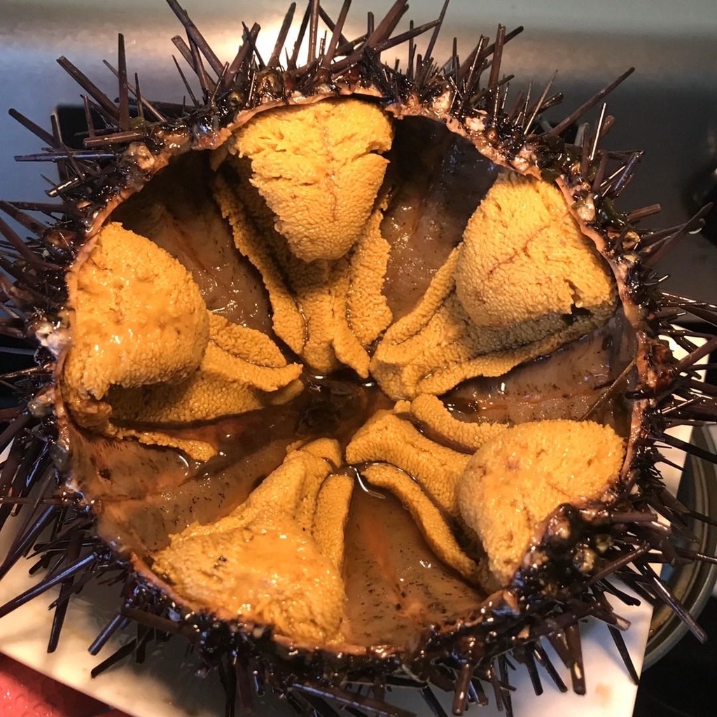 California Live Red Sea Urchin  2lbs/Pack