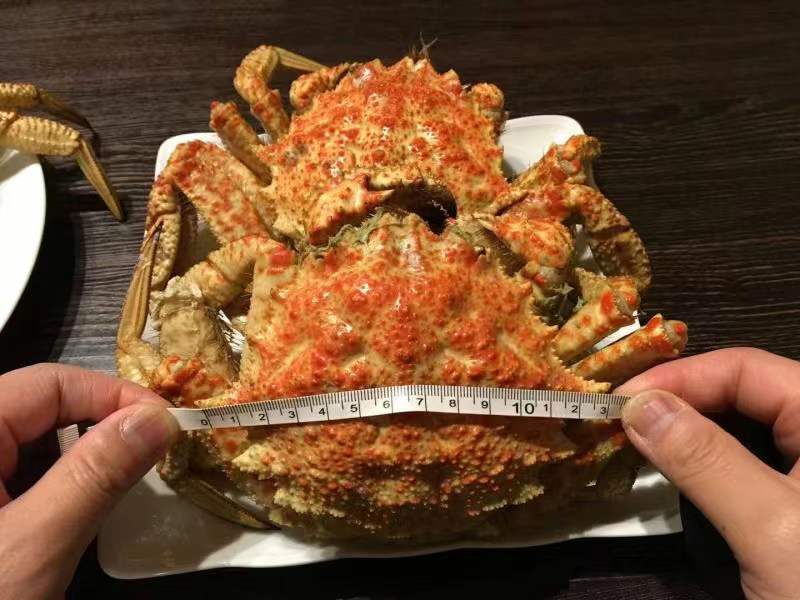 Japan Hokkaido Live Helmet Crab (Size 350-400g) *** Sold by per lbs ***