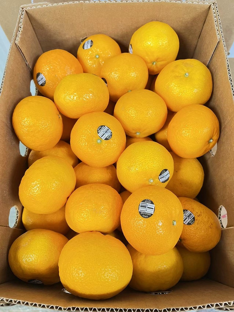 Israel Jaffa Orri Mandarins #4055  3lbs/Pack