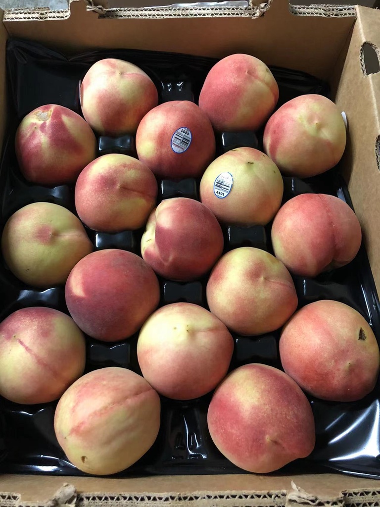 Farm Fresh Peach 17pcs / Case