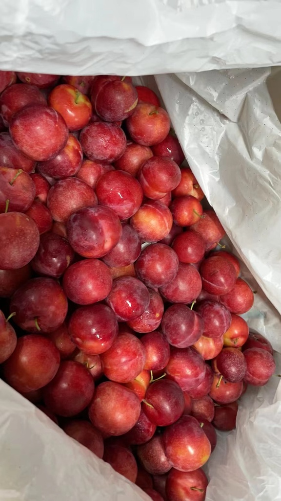 Fresh Cherry Plums 2lbs/Pack